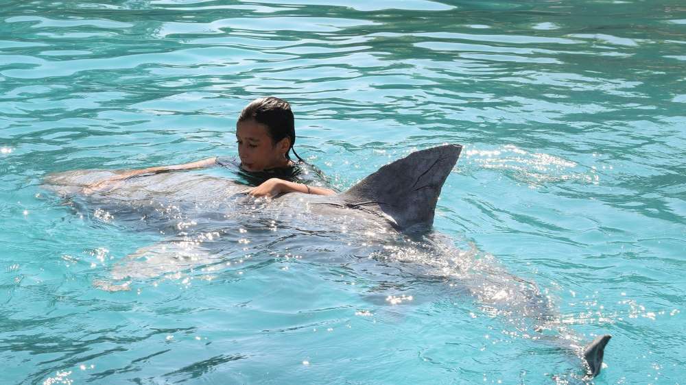 DENTI DA SQUALO / MY SUMMER WITH THE SHARK